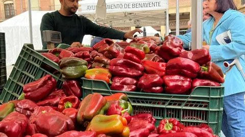 Feria del Pimiento en Benavente_23