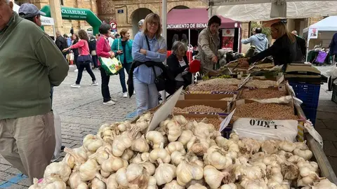 Feria del Pimiento en Benavente_24