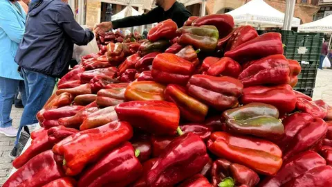Feria del Pimiento en Benavente_26