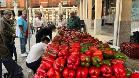Feria del Pimiento en Benavente_27