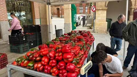 Feria del Pimiento en Benavente_29