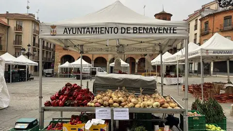 Feria del Pimiento en Benavente_31