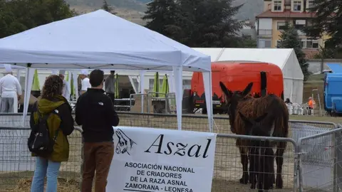 Zamora en Naturcyl 2024_43