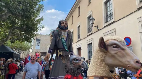 gigantes y cabezudos 2024_32