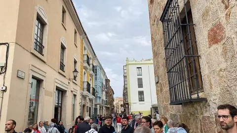 cabezudos y gigantes zamora _2