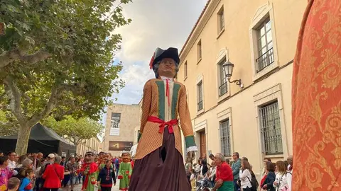 cabezudos y gigantes zamora _5