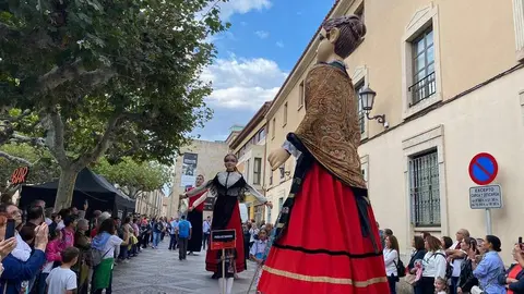 cabezudos y gigantes zamora _6