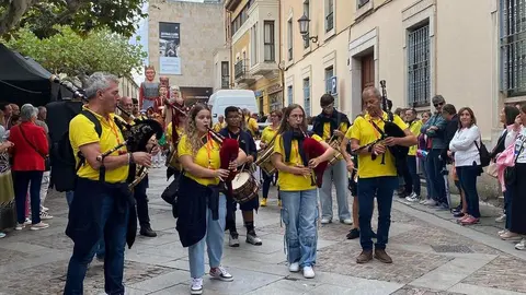 cabezudos y gigantes zamora _7