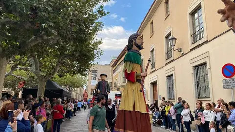 cabezudos y gigantes zamora _13
