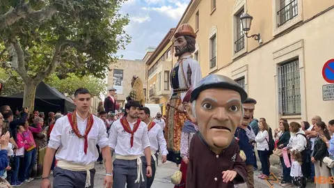 cabezudos y gigantes zamora _14