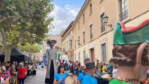 cabezudos y gigantes zamora _31