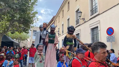 cabezudos y gigantes zamora _33