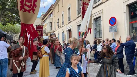 cabezudos y gigantes zamora _40