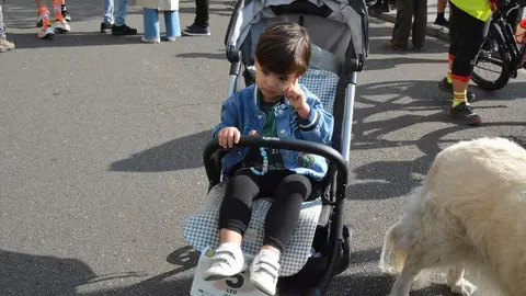 carrera guardia civil zamora 2024_74