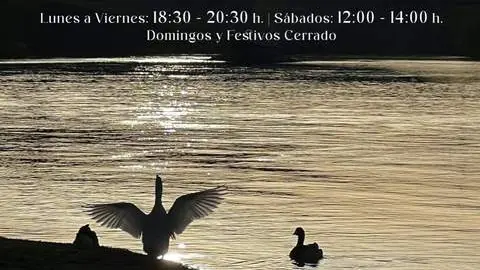 ‘Momentos en Zamora’ de Paco González