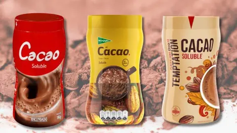 Facua cacao