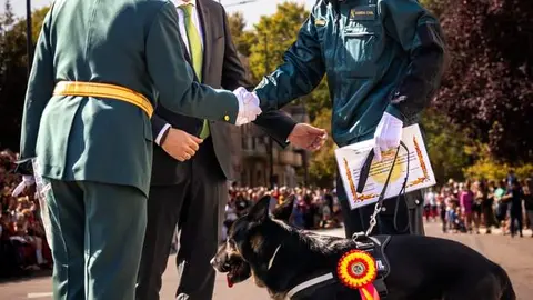 Donald perro policía (1)