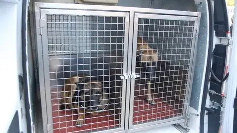 carrera policía _26