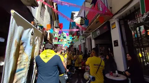 Virgen de los Herreros _8