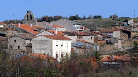Losacino