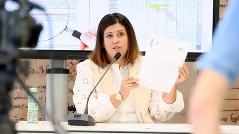 mercado abastos benavente