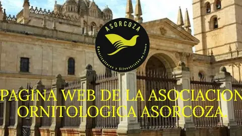 ASORCOZA ZAMORA