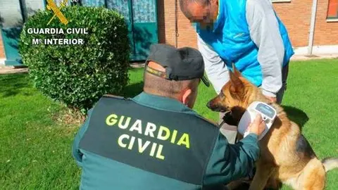 guardia civil