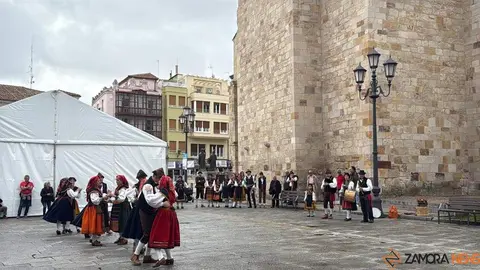 Aliste y Tras-os-Montes_13