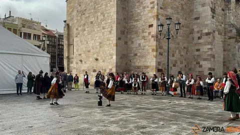 Aliste y Tras-os-Montes_29