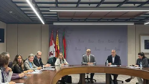 Consejo de Salud de Zamora 