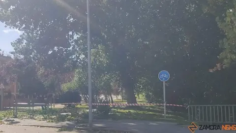 Destrozos Zamora Vientos_8