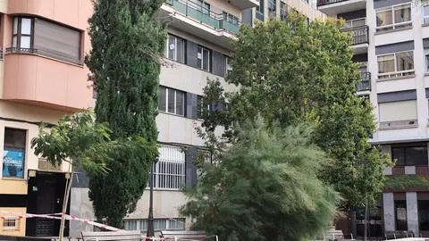 Destrozos Zamora Vientos