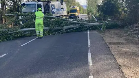 Imagen de WhatsApp 2024-10-09 a las 12.50.27_836bda47