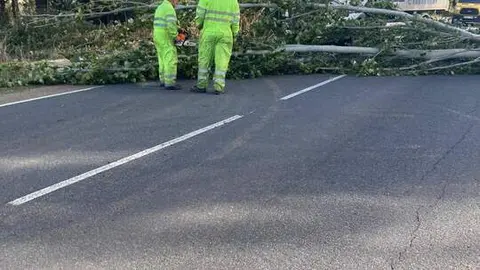 Imagen de WhatsApp 2024-10-09 a las 12.50.27_fdffef3f