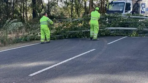 Imagen de WhatsApp 2024-10-09 a las 12.50.27_16de865f