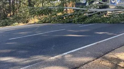 Imagen de WhatsApp 2024-10-09 a las 12.50.26_83ed8e46