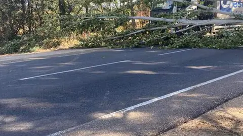 Imagen de WhatsApp 2024-10-09 a las 12.50.26_e5cbac0d