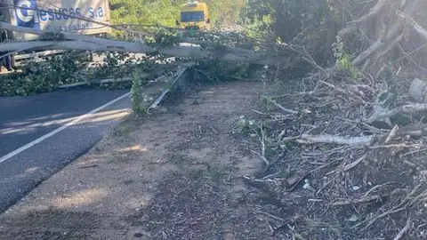 Imagen de WhatsApp 2024-10-09 a las 12.50.26_e6b8f8c8