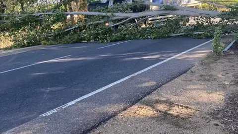 Imagen de WhatsApp 2024-10-09 a las 12.50.25_c8b6143f