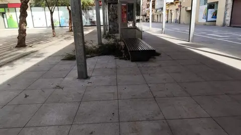 Destrozos Zamora Vientos_2