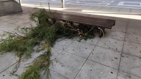 Destrozos Zamora Vientos_3