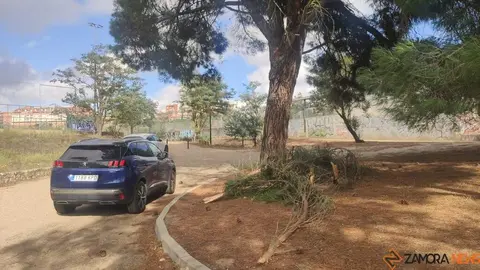 Destrozos Zamora Vientos_4