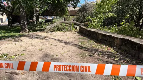 Imagen de WhatsApp 2024-10-09 a las 20.57.42_ae0ff309