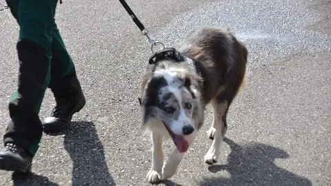 Día de la Hispanidad_141