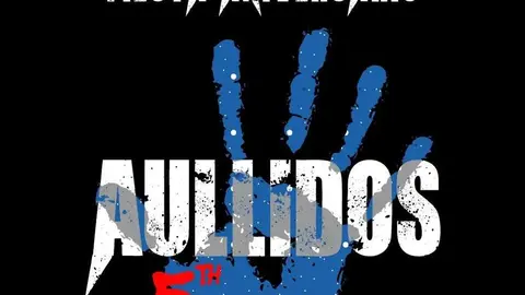 462535339_1723700528468473_475913753687530062_n