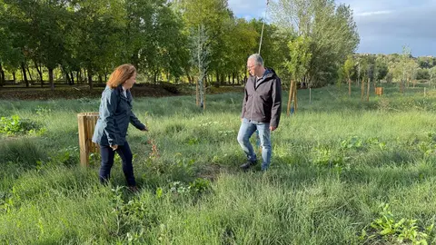 jardín autoctono olivares PP