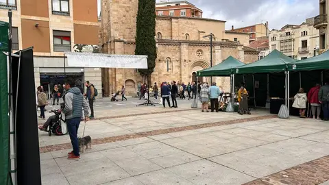 Imagen de WhatsApp 2024-10-19 a las 12.52.42_0c751179