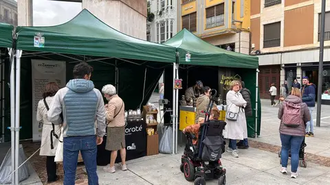 Imagen de WhatsApp 2024-10-19 a las 12.52.42_9dfe115a