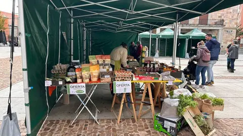 Imagen de WhatsApp 2024-10-19 a las 12.52.47_2a2b4477