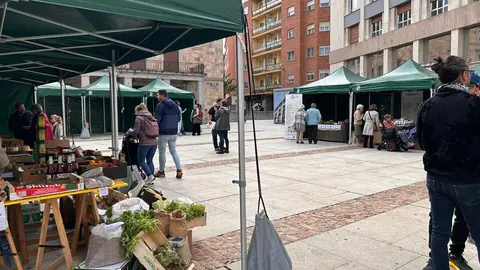 Imagen de WhatsApp 2024-10-19 a las 12.52.46_f1a28a7a